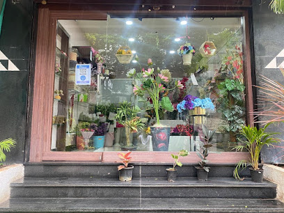 Fragrancia - Florist & Flowers Shop pune