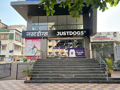 Just Dogs | Aundh, Pune