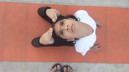 श्री कृष्णा योगा इंस्टिट्यूट